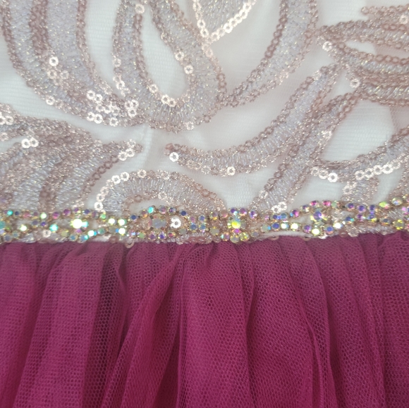 Preowned Rare Editions Pink/burgundy Embroidered Rhinestone Tulle Dress Girls 16 - Picture 9 of 9